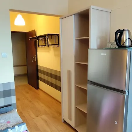 恒里克斯旅馆 *