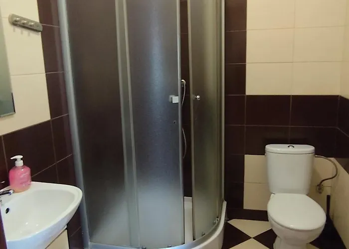 Проживание в семье Henrix *